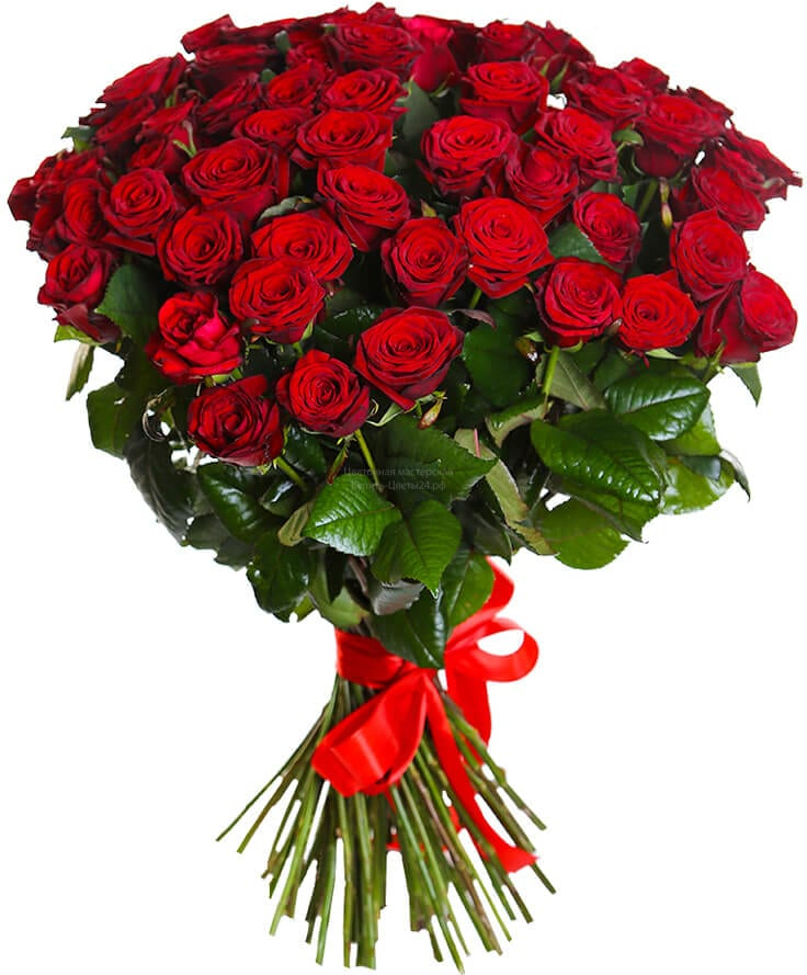 Розы Россия красные