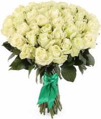 Розы Эквадор белые