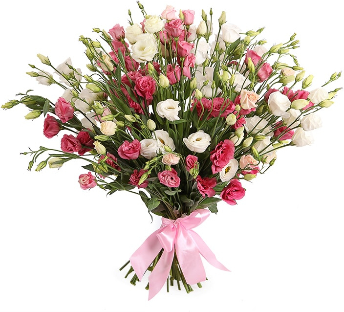 Эустома микс №2